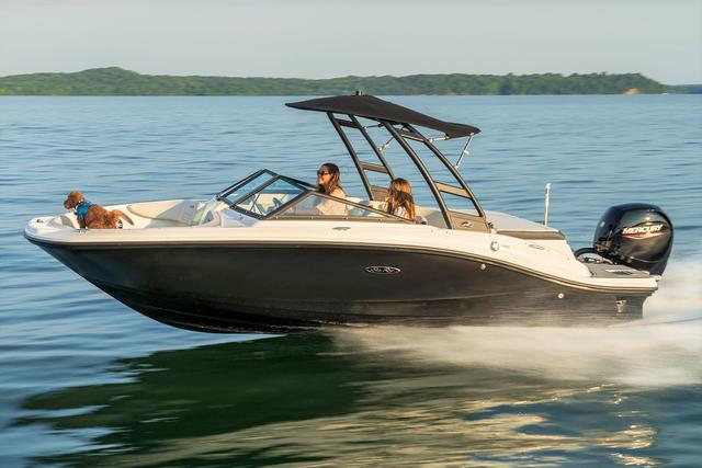 Sea Ray 190