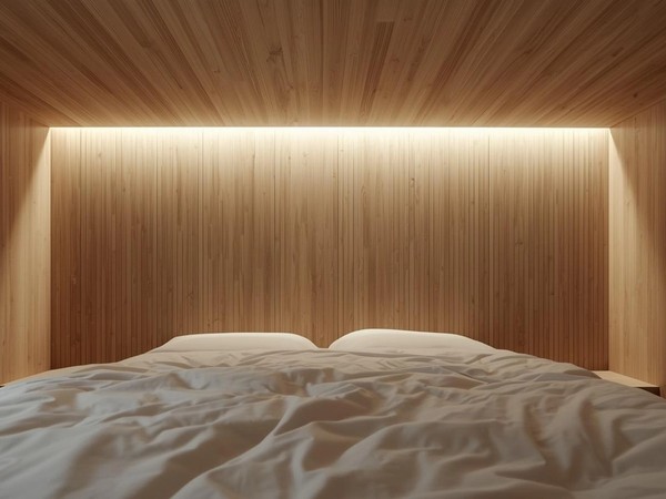 Ceiling bed