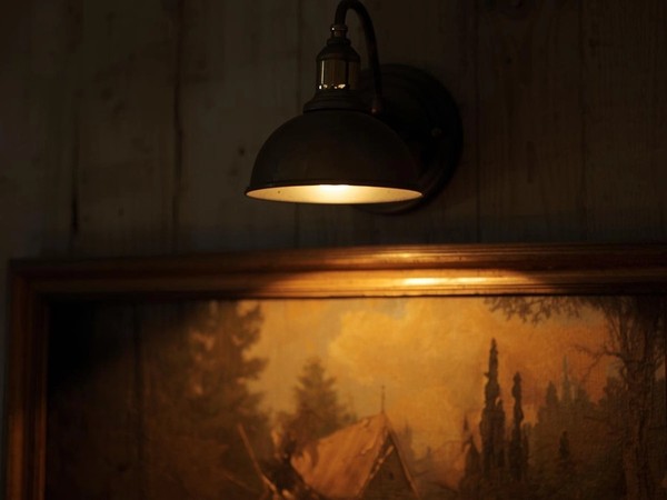 Brass picture light