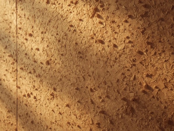 Cork wall