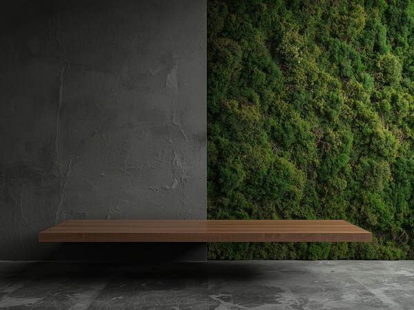 Sydney Harbour Co-Working Loft