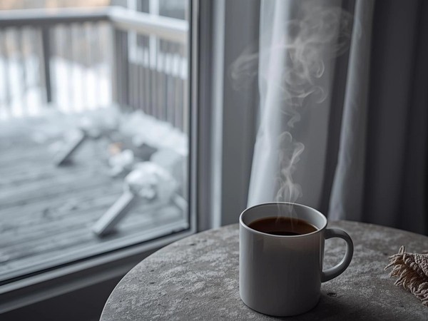 Snowy deck