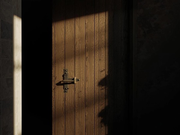 Hidden cellar door
