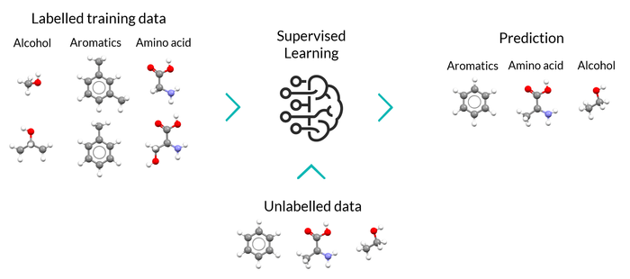 Nextmol_supervised_learning-b