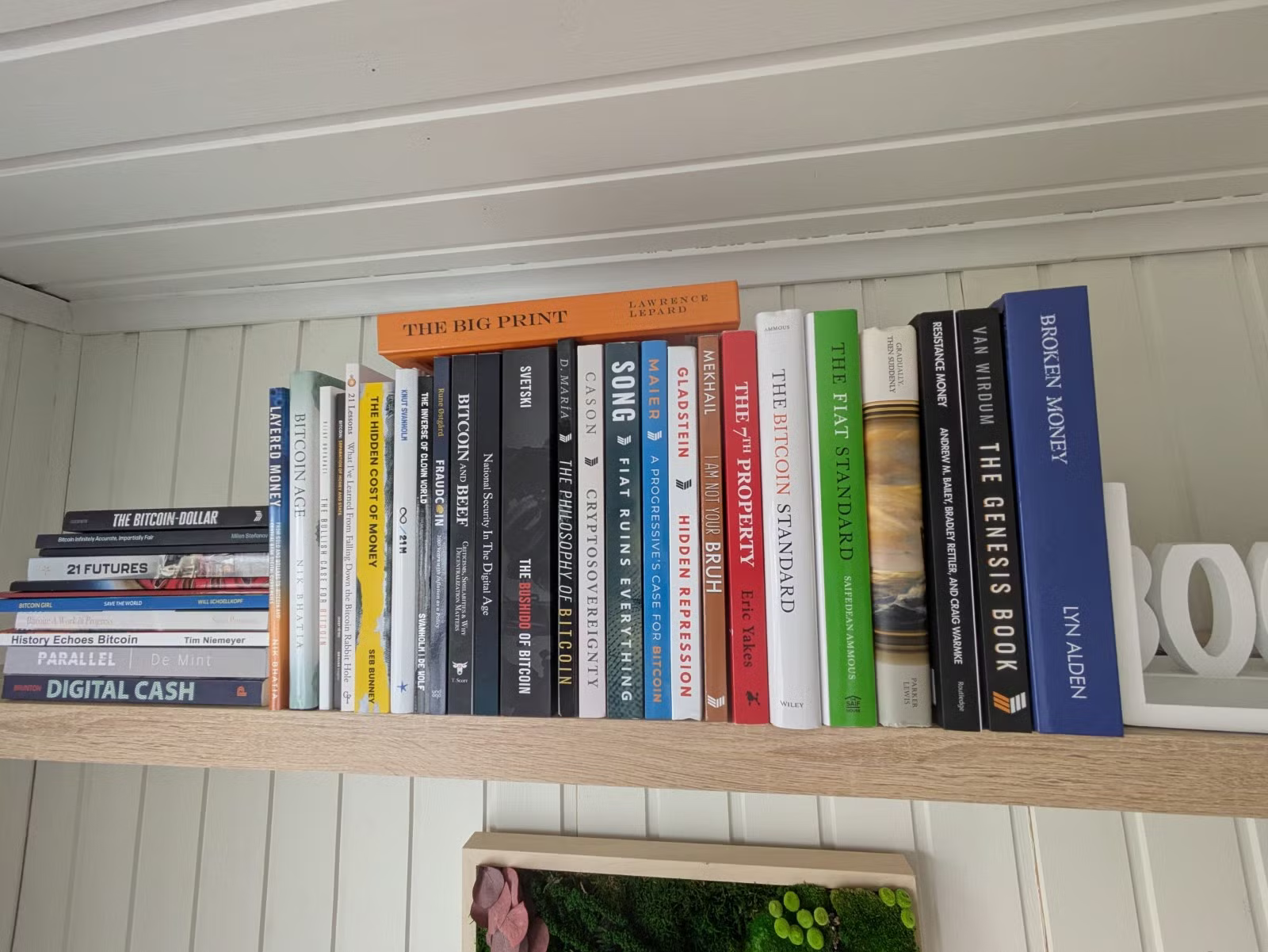 A Brief History of Bitcoin Books and Publishing