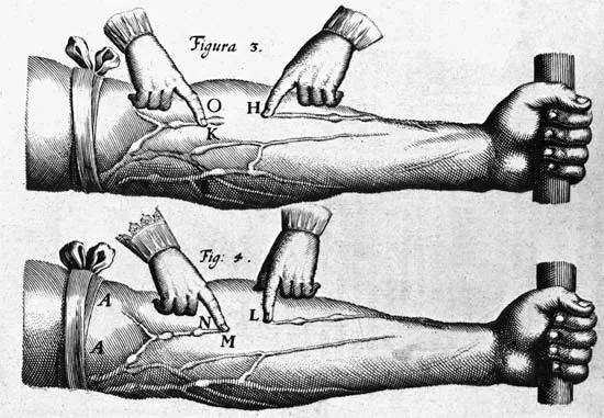 blood circulation