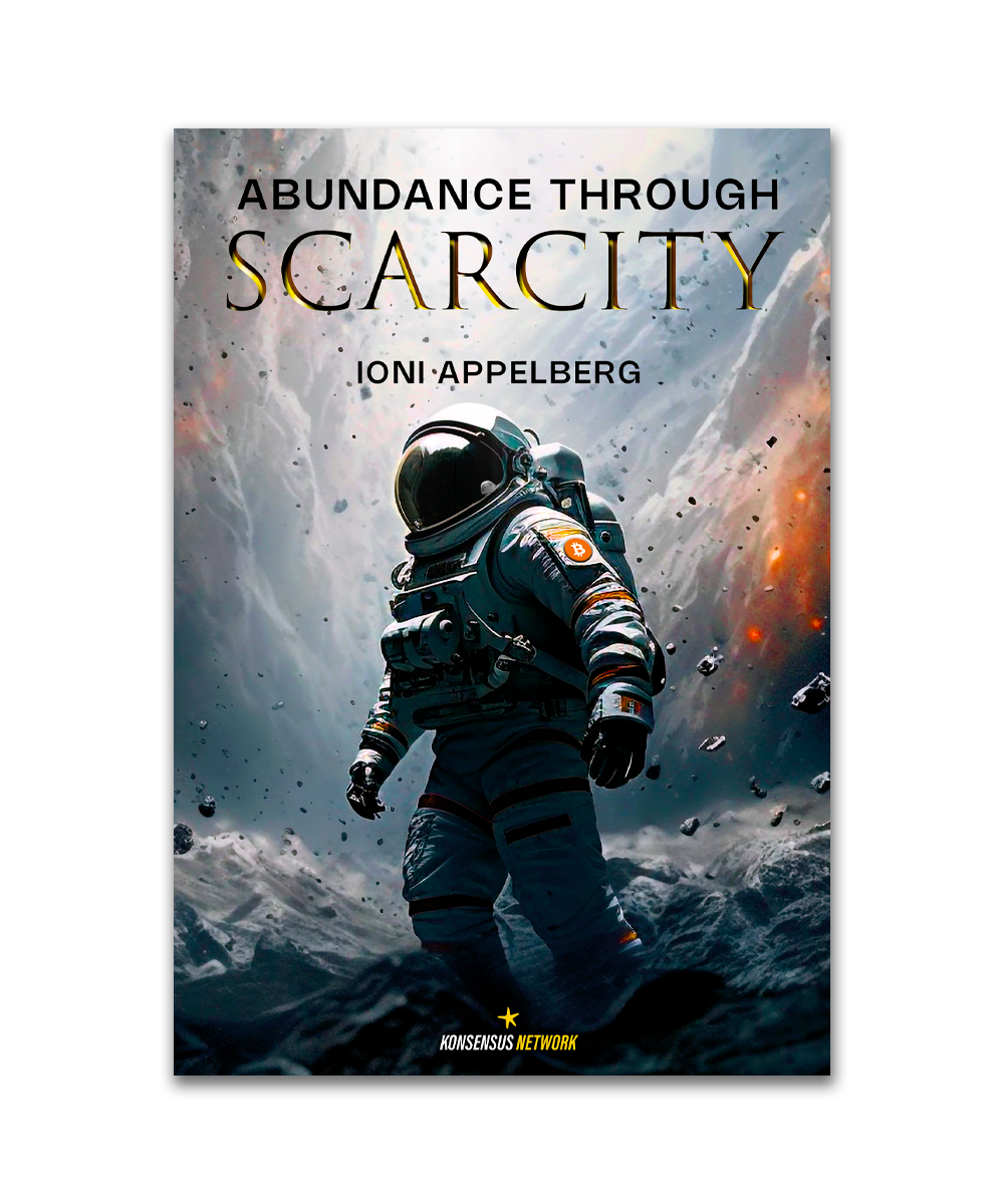 Abundance Through Scarcity book cover