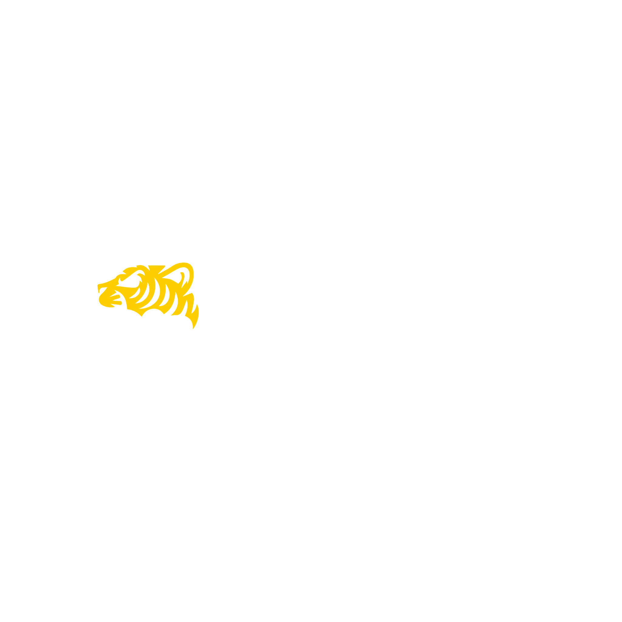 Ballers Parking Only