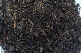Black Magic Topsoil thumbnail 3