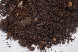 Mushroom Compost thumbnail 3