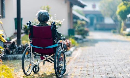 The back of an elderly woman sitting in a wheelchair while outside in her garden.