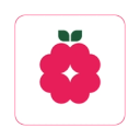 Raspberry AI icon