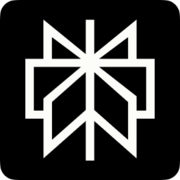Perplexity AI icon