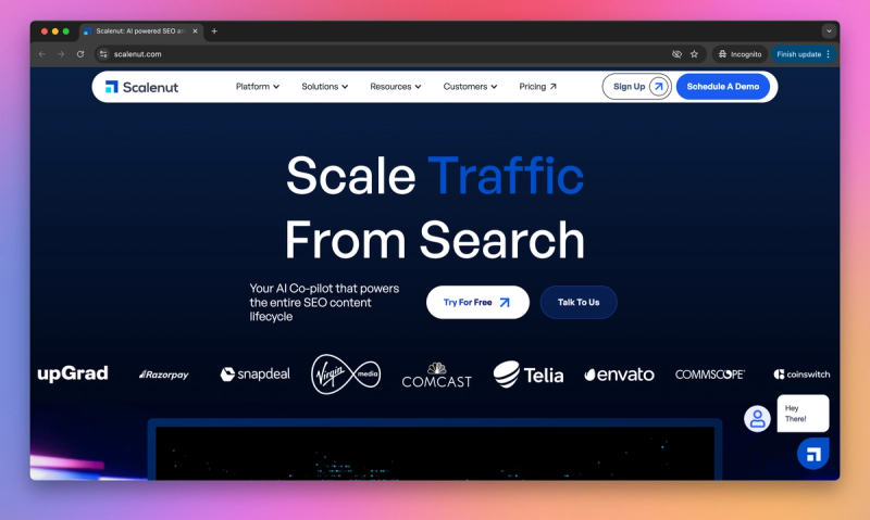Scalenut product screenshot
