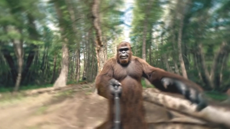 VEO 3 bigfoot blog