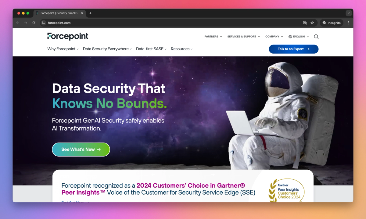 Forcepoint screenshot #1