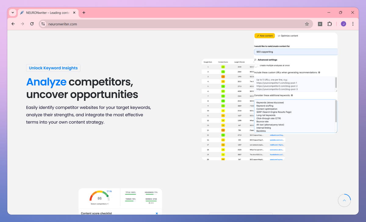 NEURONwriter screenshot #3