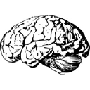 Namy.ai icon