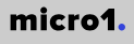 micro1 icon