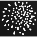 Wisio icon
