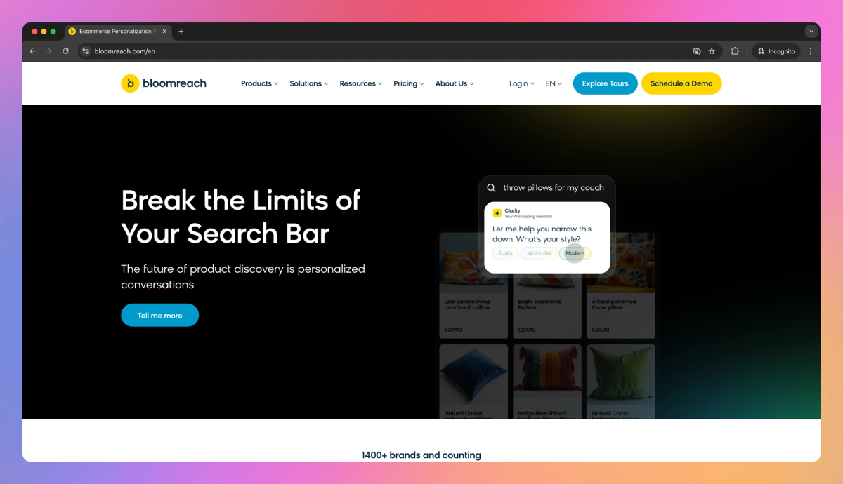 Bloomreach screenshot #1