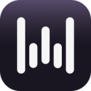 Wispr Flow icon