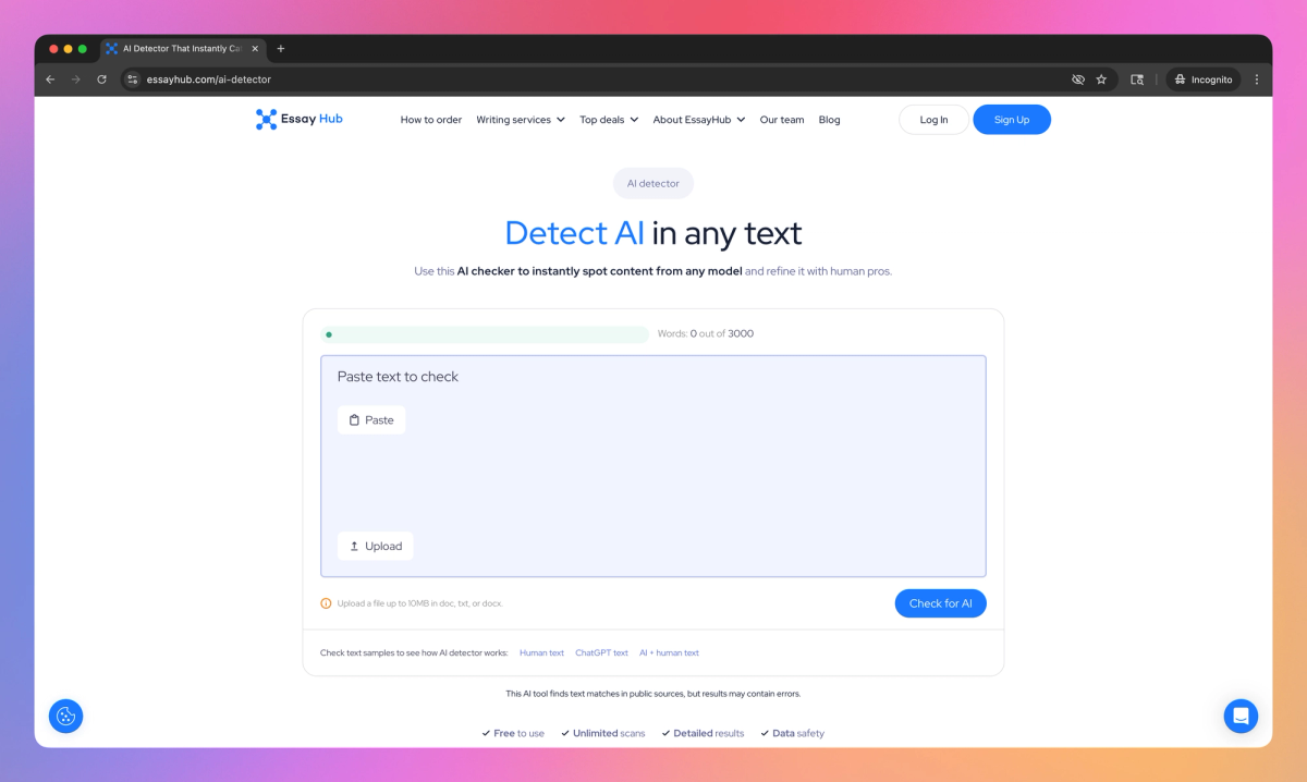 EssayHub AI Detector screenshot #1