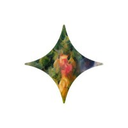 StarryAI icon