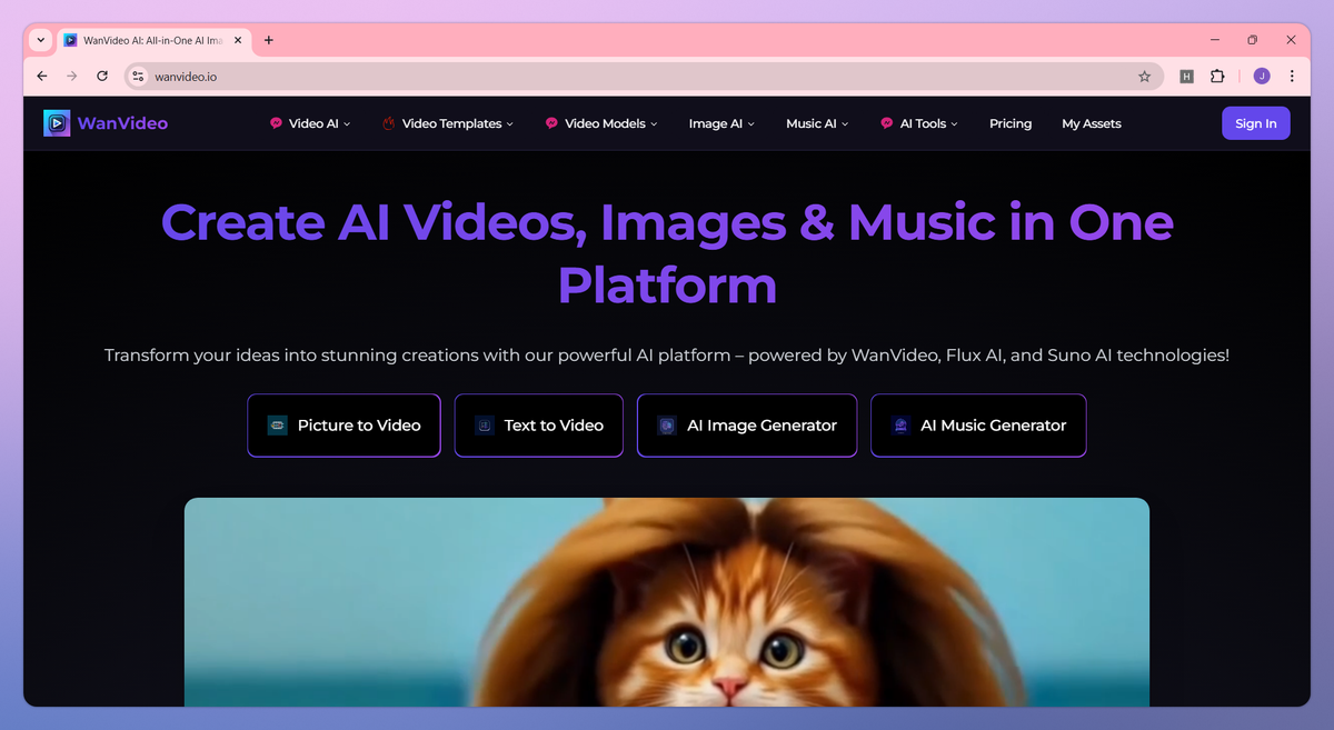 WanVideo AI screenshot #1