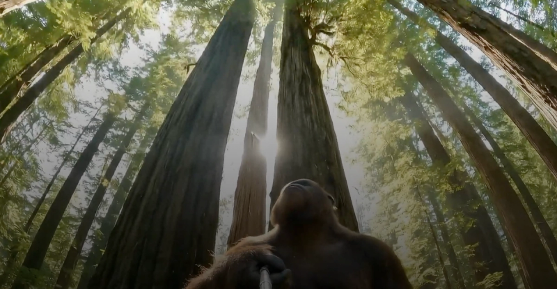 Veo 3 bigfoot output