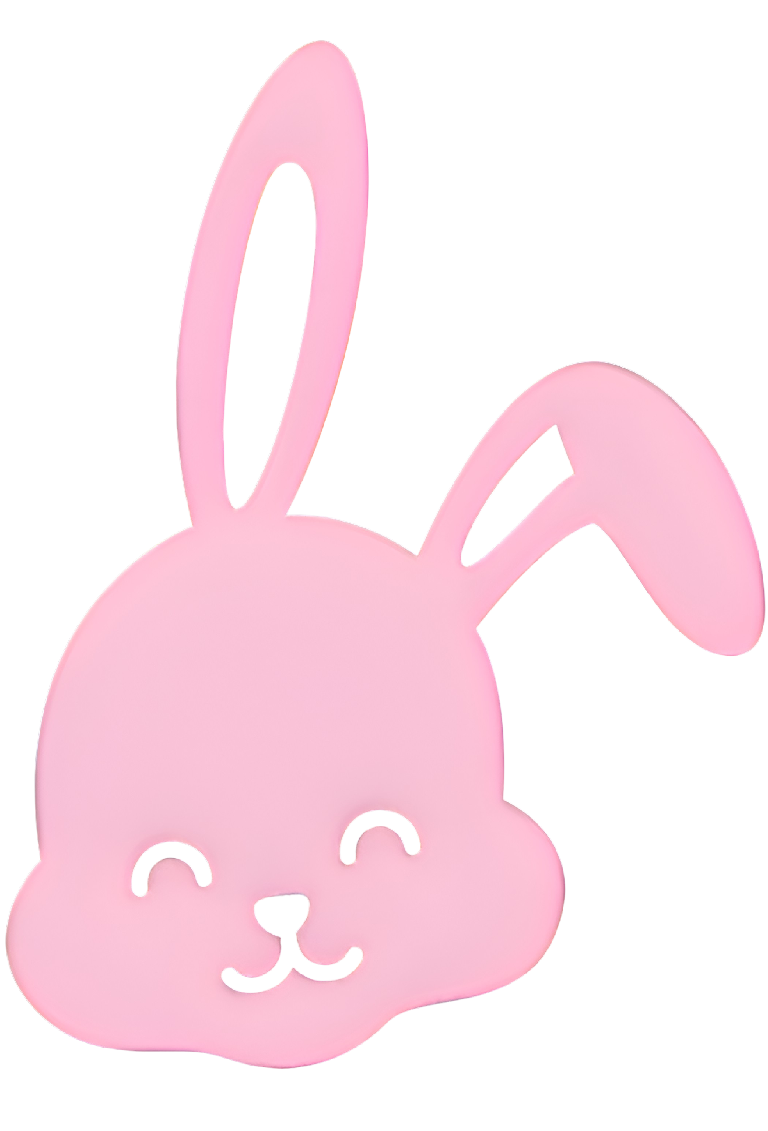 Bunnie.io icon