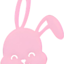 Bunnie.io icon