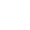 Shield AI icon