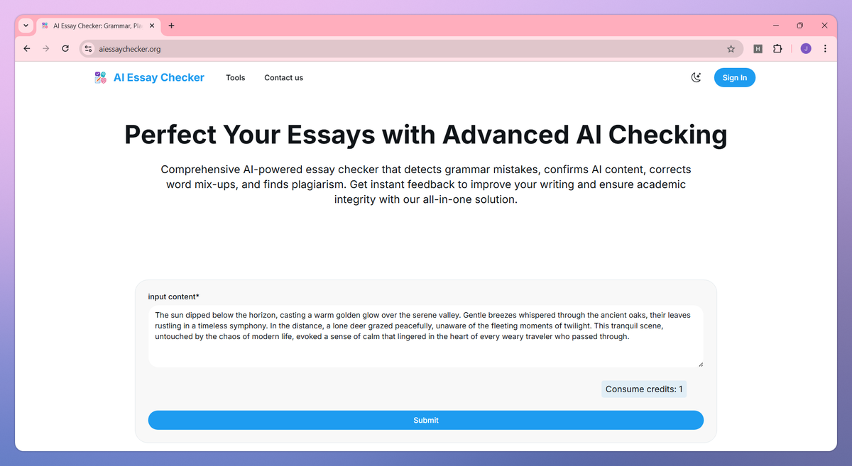 AI Essay Checker screenshot #1