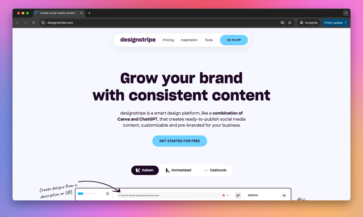 DesignStripe screenshot #1