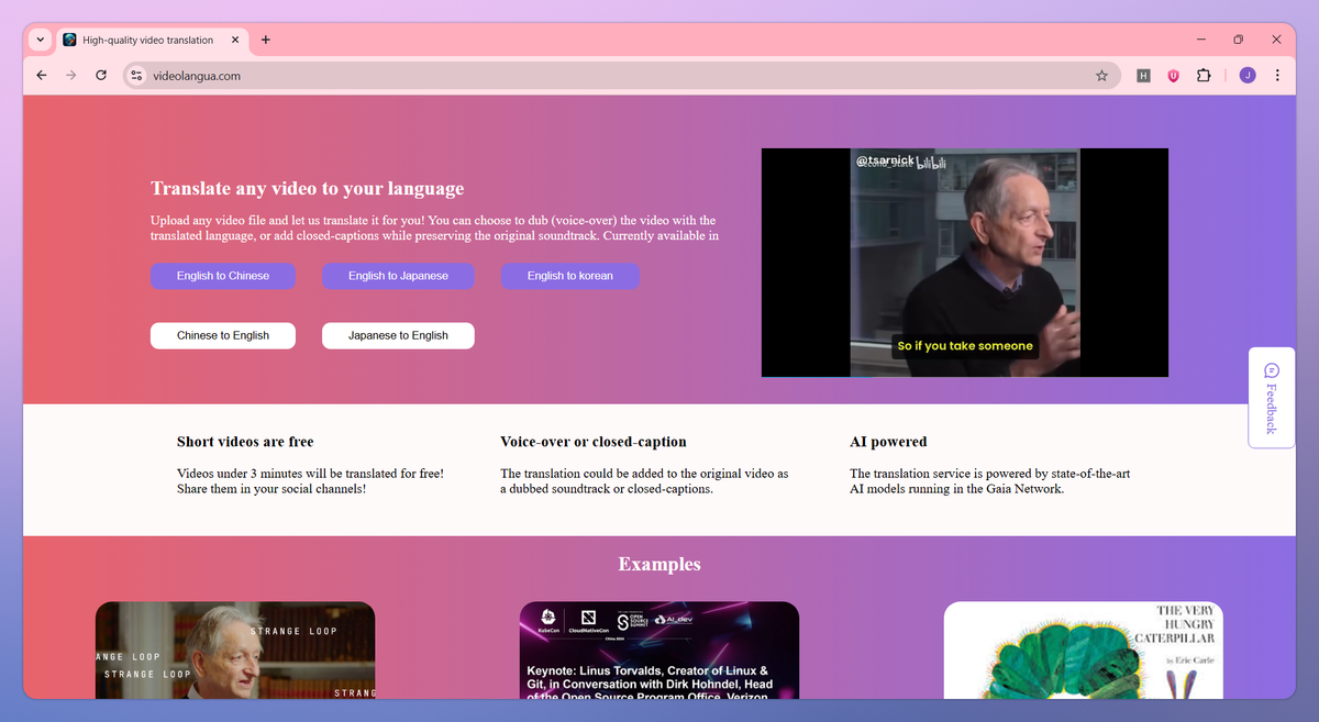 VideoLangua screenshot