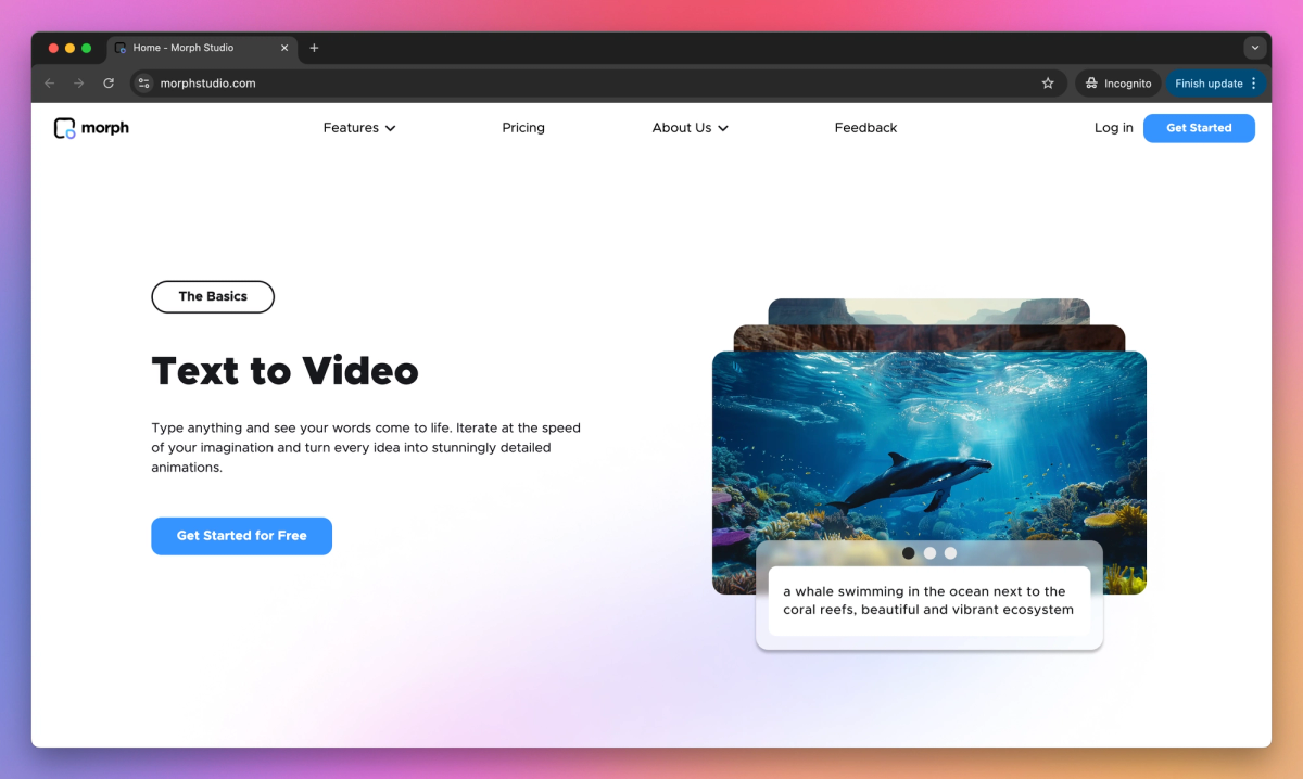Morph Studio screenshot #2