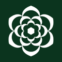Sierra AI icon