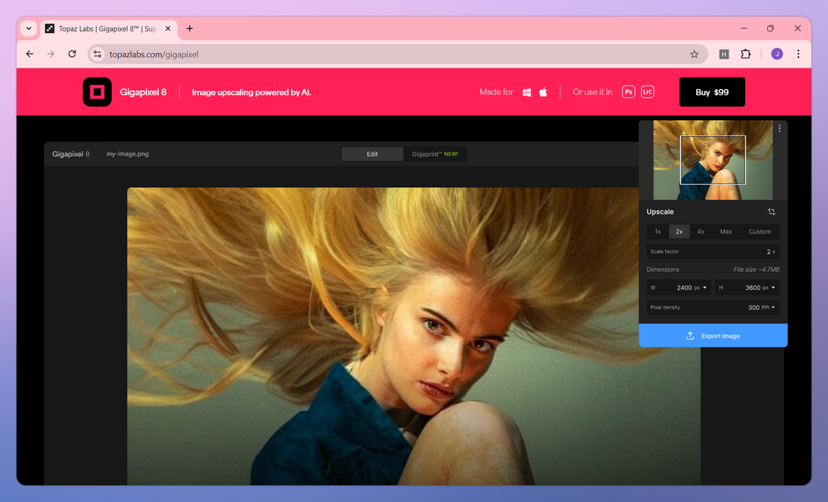 Topaz Labs screenshot #3