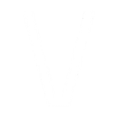 VenturusAI icon