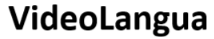 VideoLangua icon