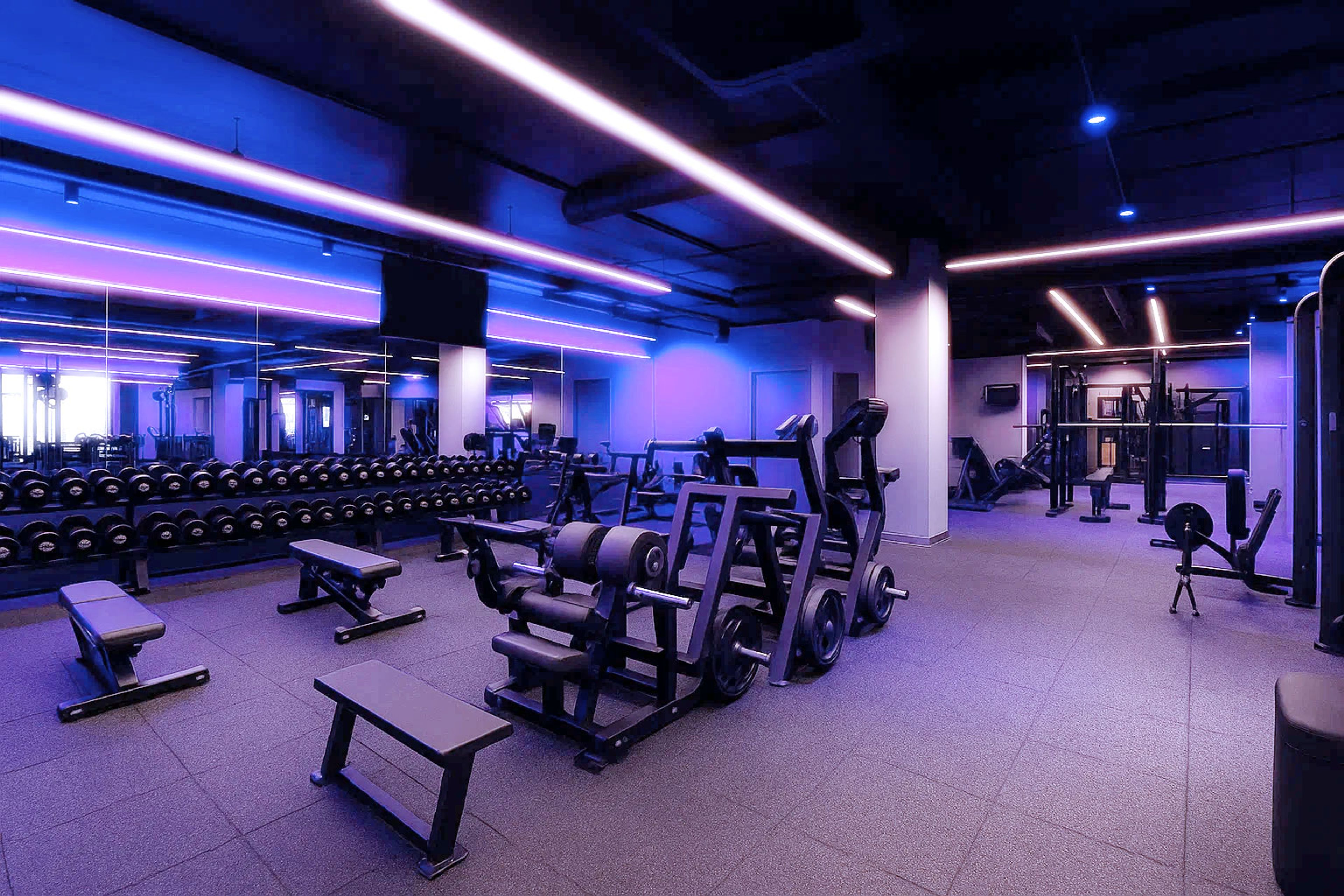 gymnasium linear lighting