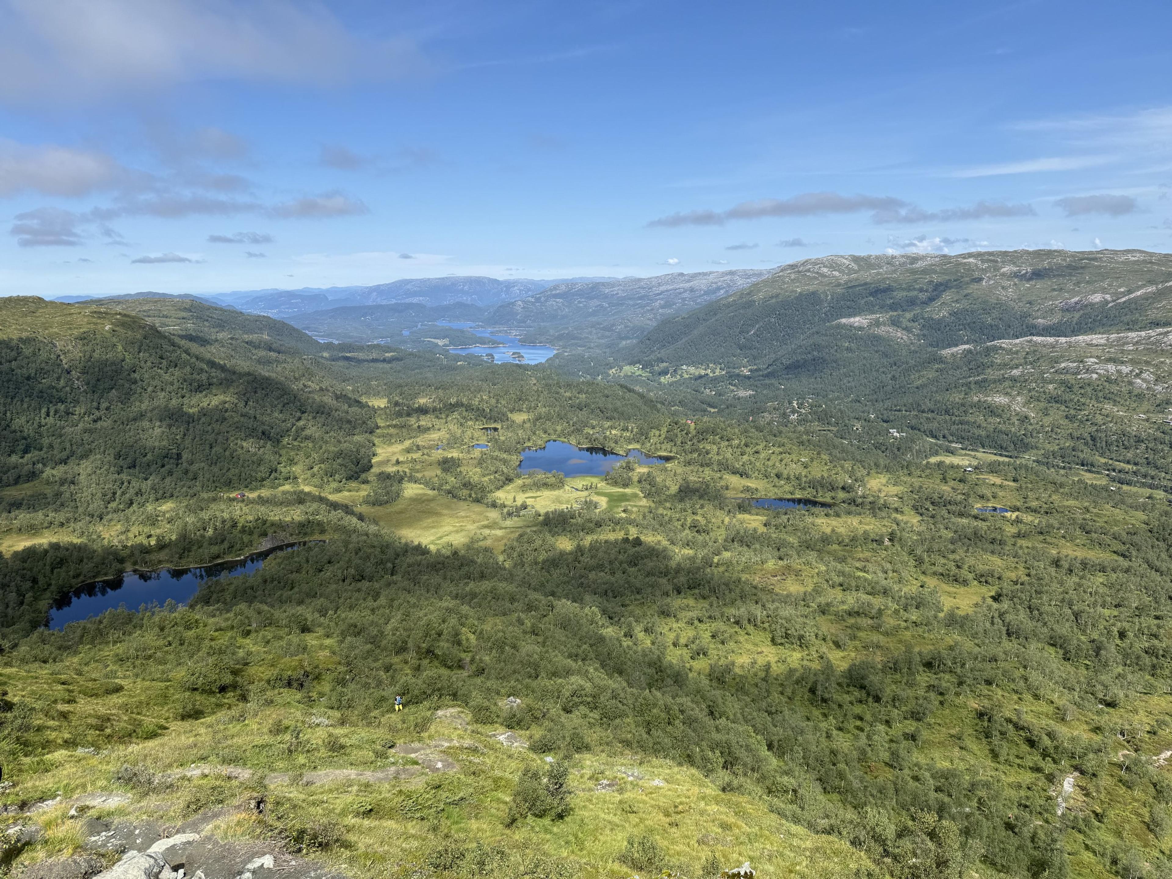 Utsikt fra en lyngkledd fjellside ned over skog med flere små vann og åser bak.