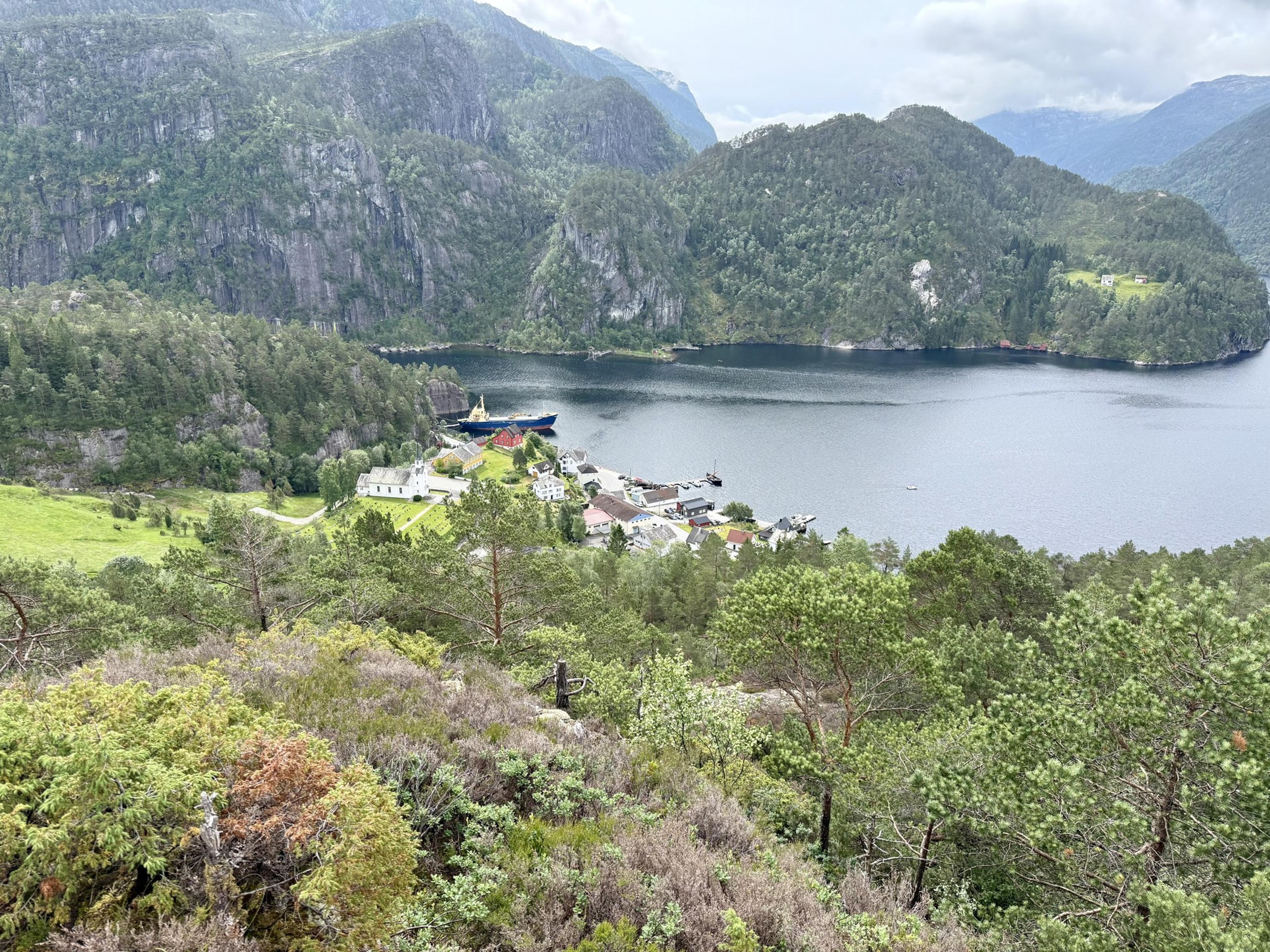 Utsikt over furu og lyng ned på en liten bygd ved fjorden, med et skip ved kaien og bratte fjell på den andre siden.