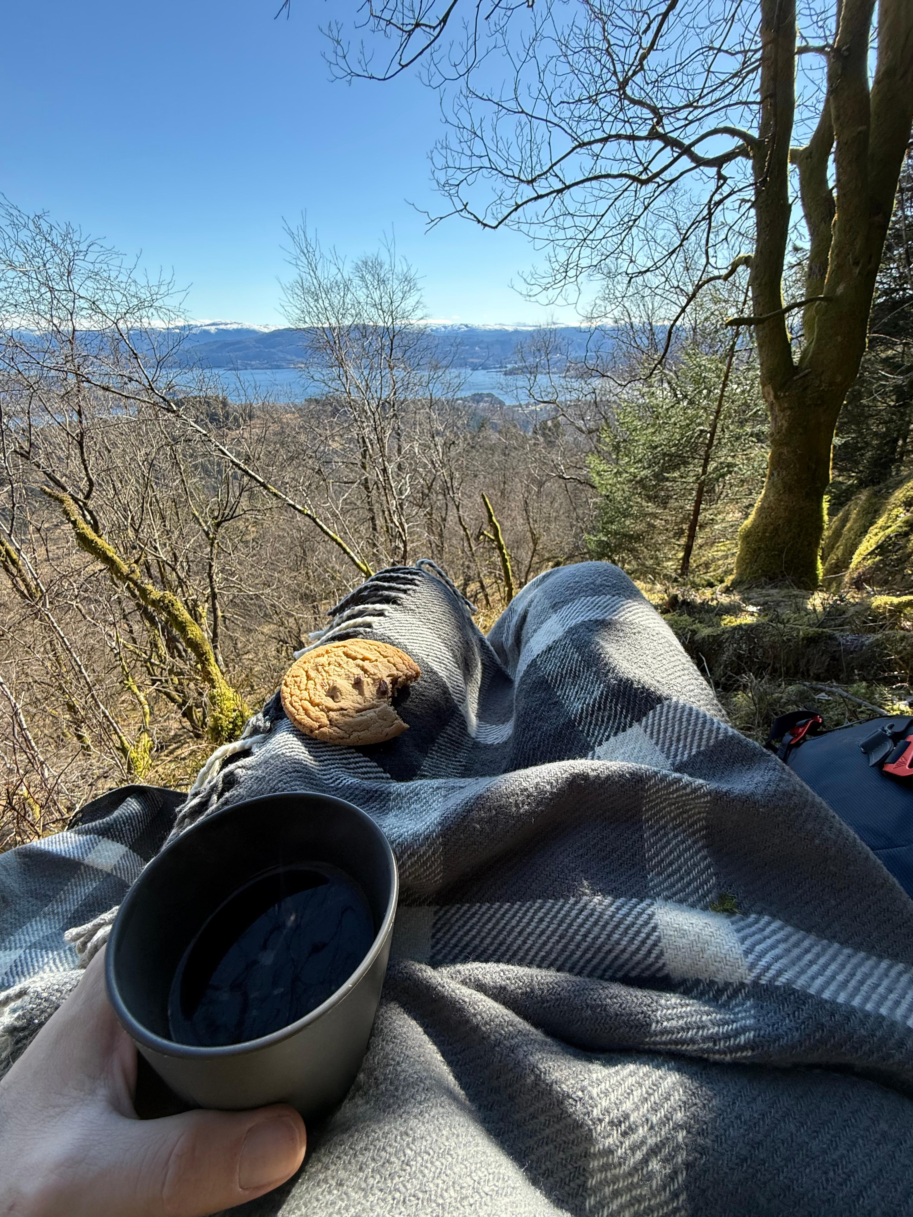 Kaffekopp og kjeks på et pledd i løvskogen, med utsikt ned mot fjorden og snødekte fjell i det fjerne.