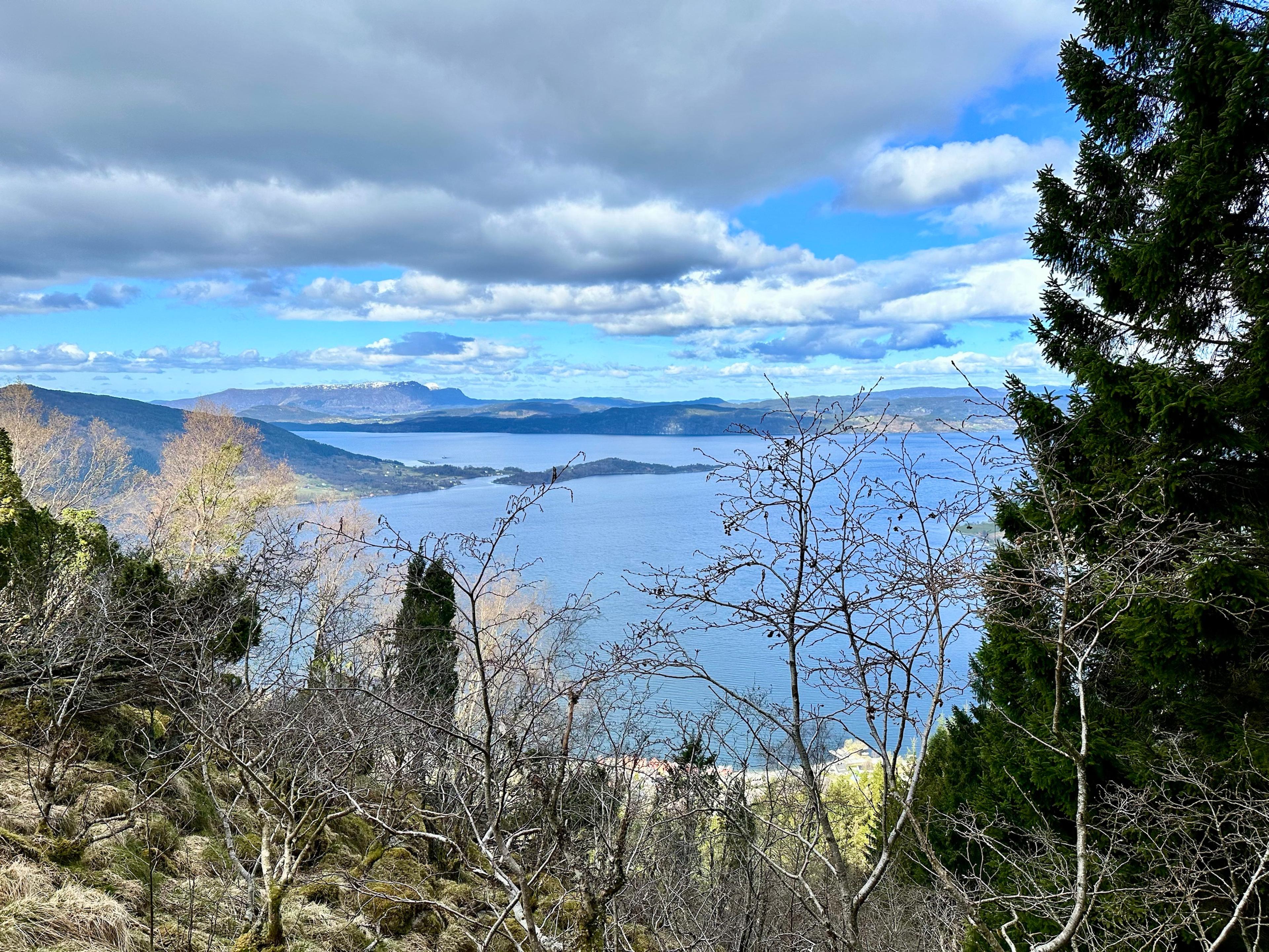 Utsikt gjennom bladløs bjørkeskog ned mot fjorden og en lang, lav odde, med åser og snøkledde fjell i det fjerne.