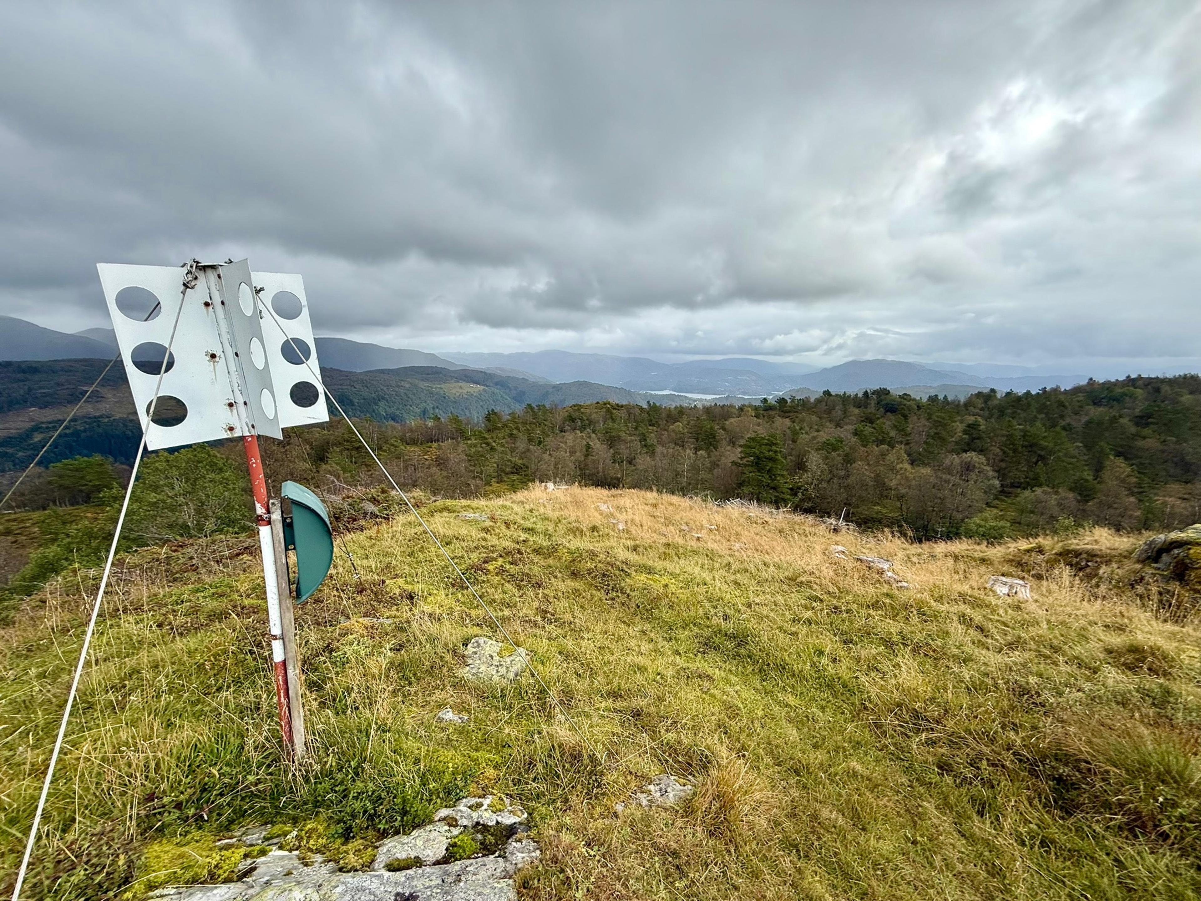 Gressdekt toppplatå med et trigonometrisk punkt i forgrunnen, omkranset av furu- og bjørkeskog, med en glipe av en fjord og blåne fjell i horisonten.