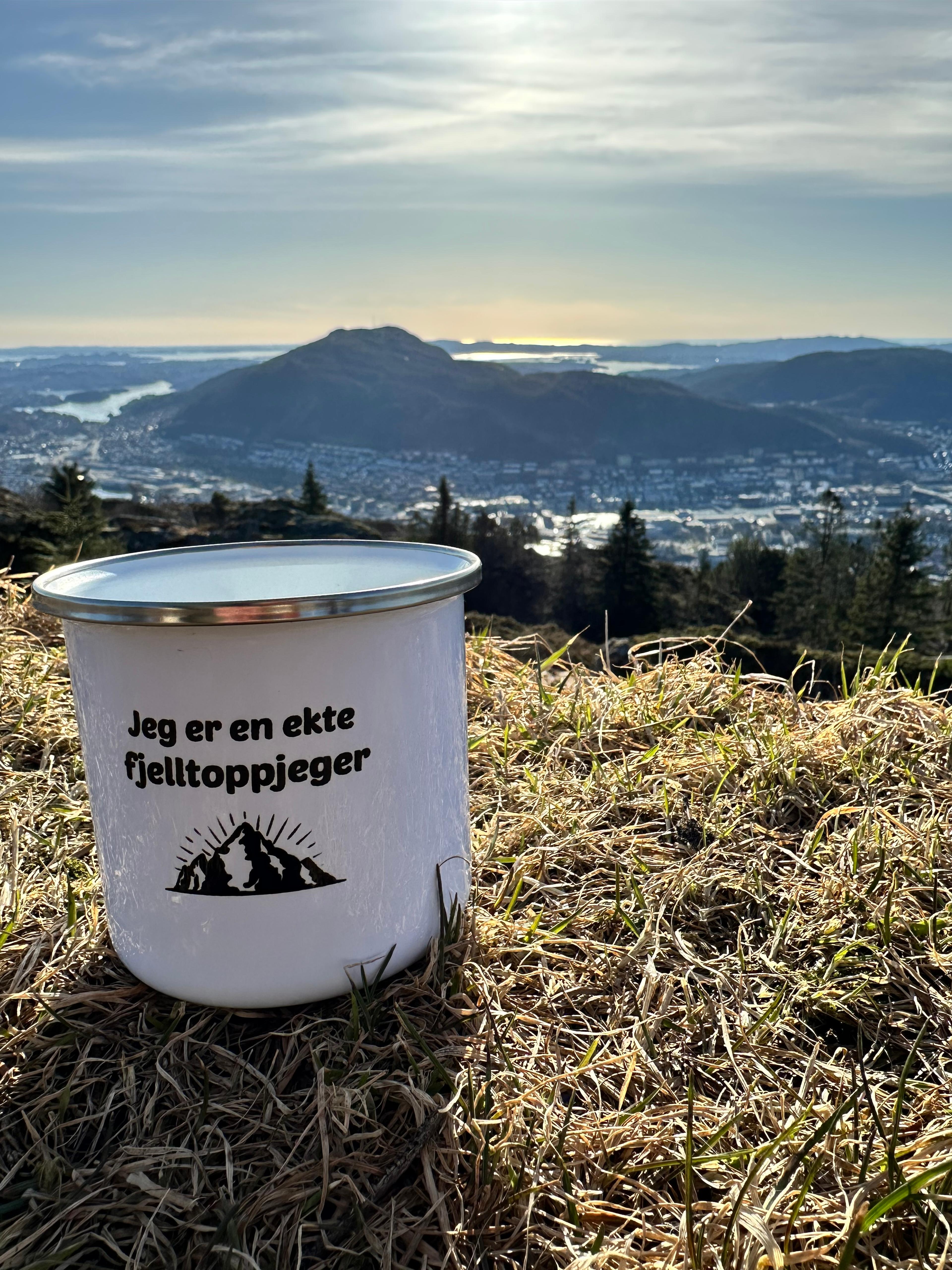 Bilde fra Søre Midtfjellet