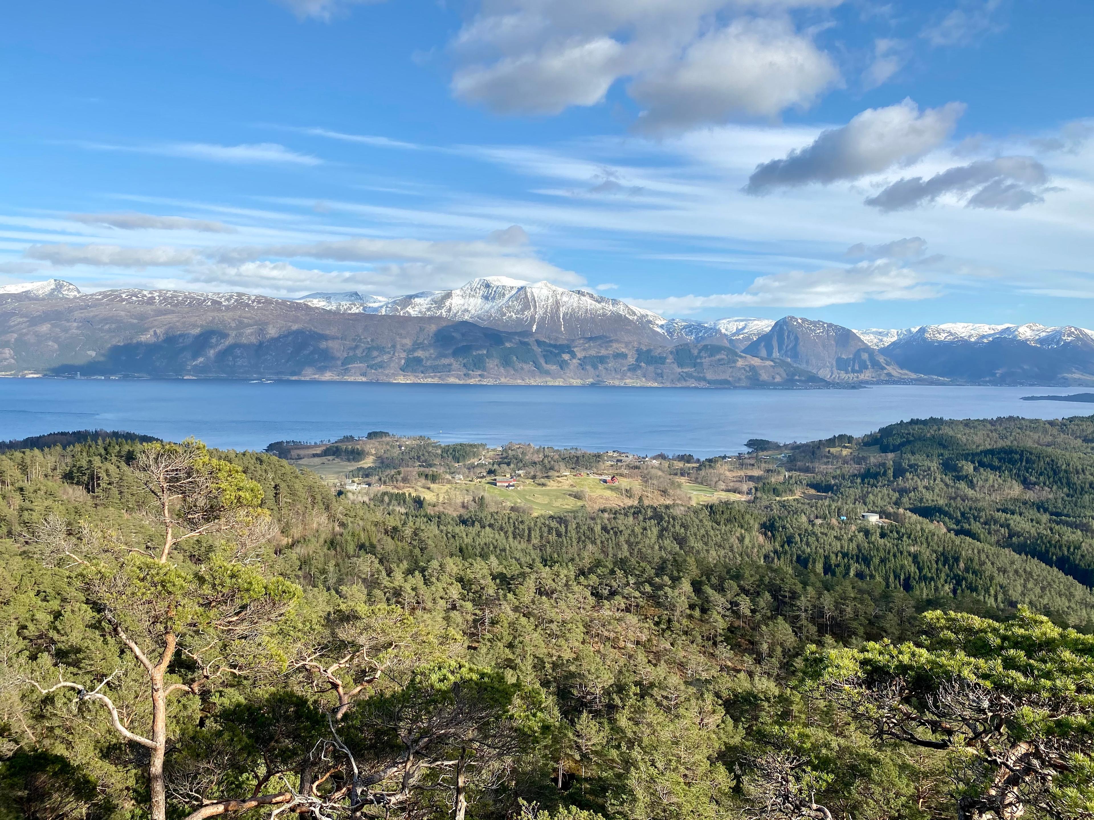 Utsikt fra Hovdaberget over skog og fjord mot snødekte fjell på andre siden.