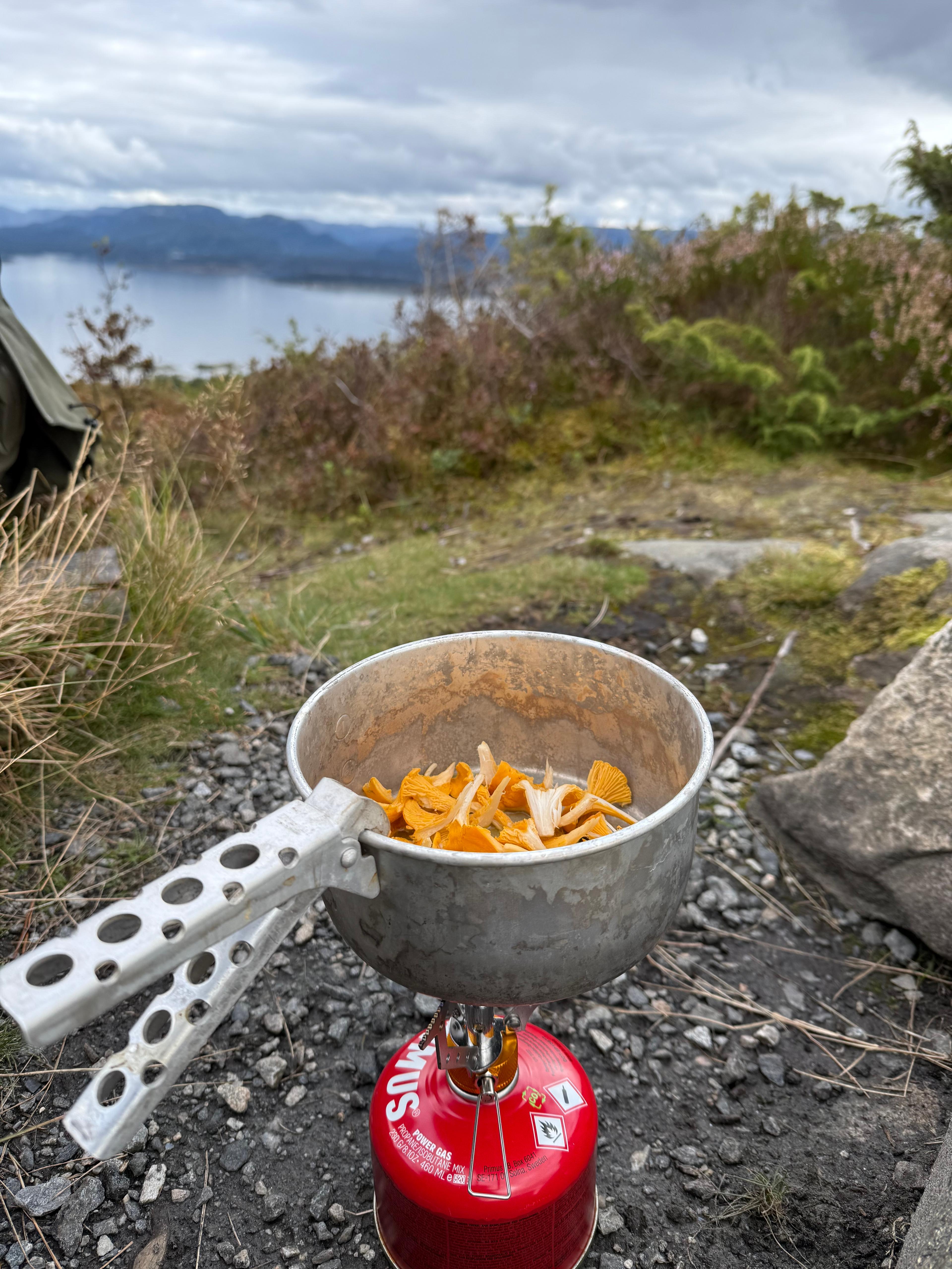 Kjele med kantareller på en primus, med lyng og en fjord under grå skyer i bakgrunnen.
